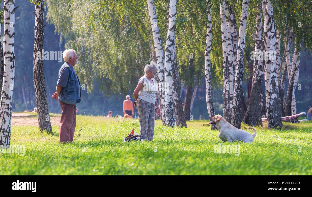 Una coppia anziana che gioca con il loro cane in una calda giornata estiva Foto Stock