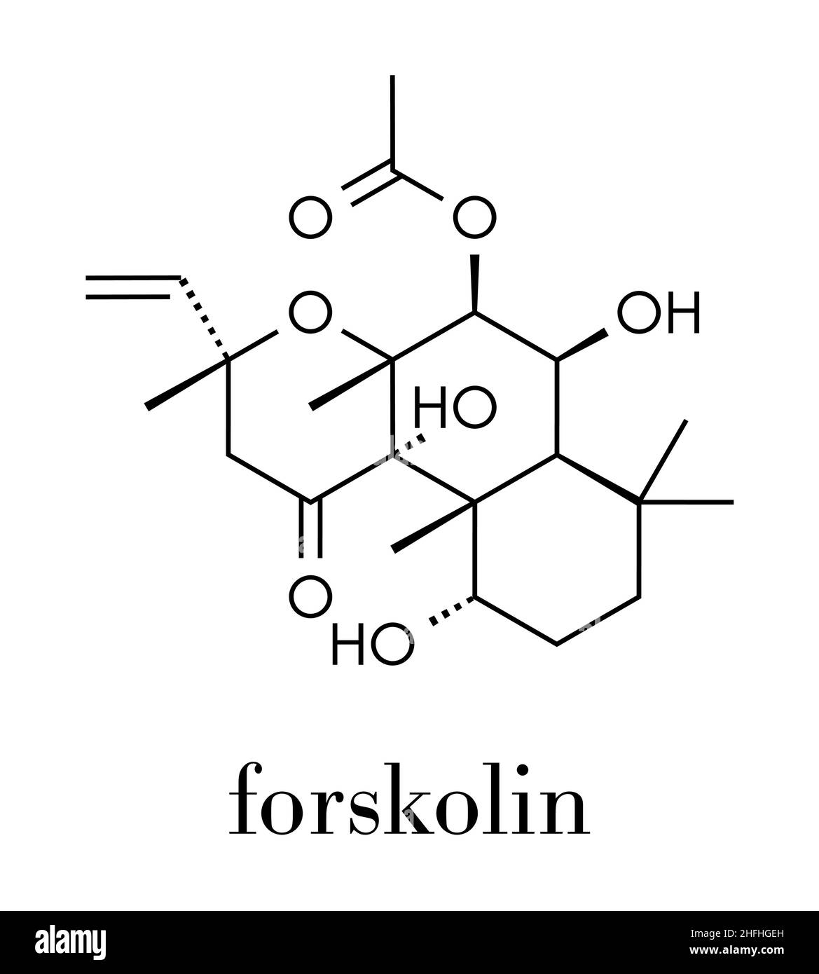 Il Forskolin (coleonol molecola). Attiva l'enzima adenil ciclasi, risultante in un aumento dei livelli di cAMP. Formula di scheletro. Illustrazione Vettoriale