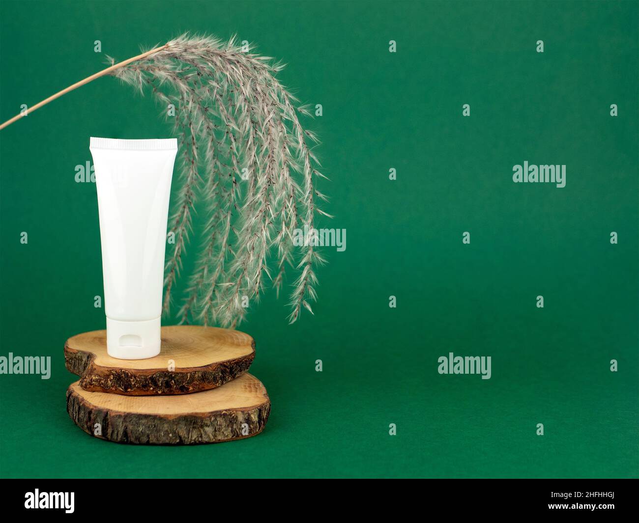 Tubo in plastica bianca con crema facciale o per mani sulle sezioni trasversali di un albero su sfondo verde scuro con spazio per la copia. Prodotto biologico biologico di bellezza, ecologico Foto Stock