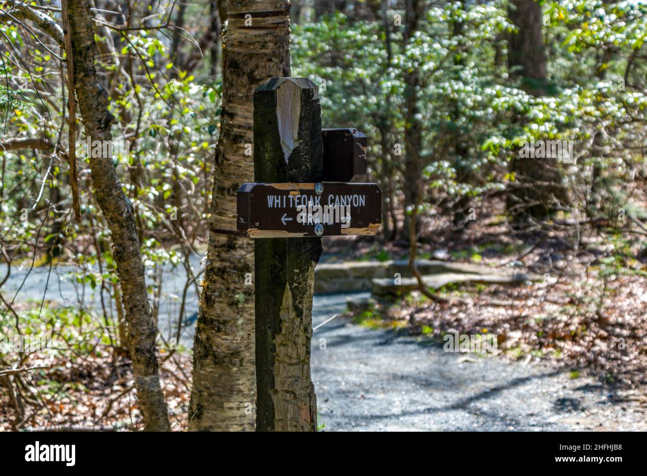 Shenandoah National Park, Virginia - 9 maggio 2018: Segnavia per White Canyon Trail Foto Stock