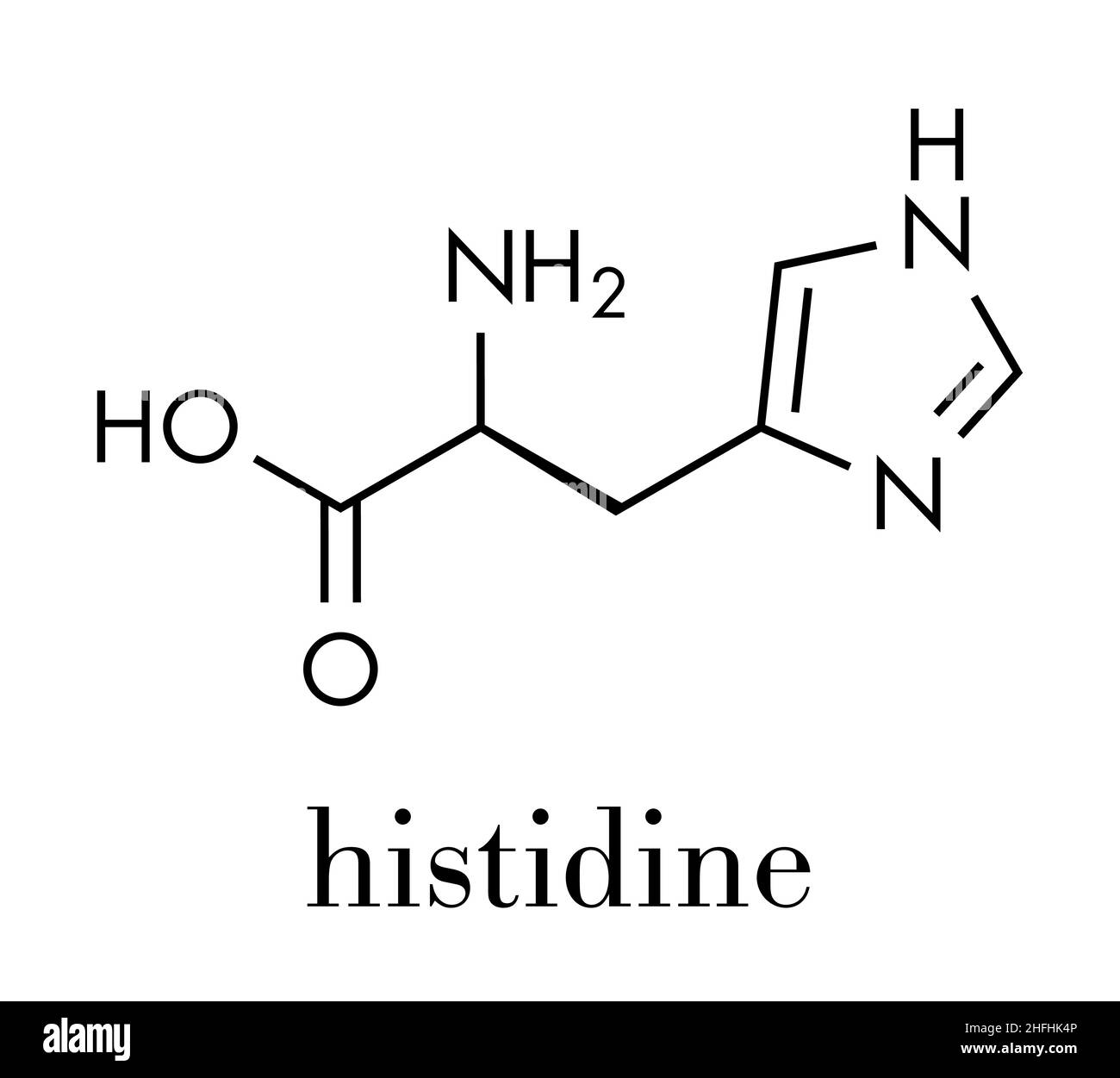 Molecola aminoacidica di istidina (l-istidina, His, H). Formula scheletrica. Illustrazione Vettoriale