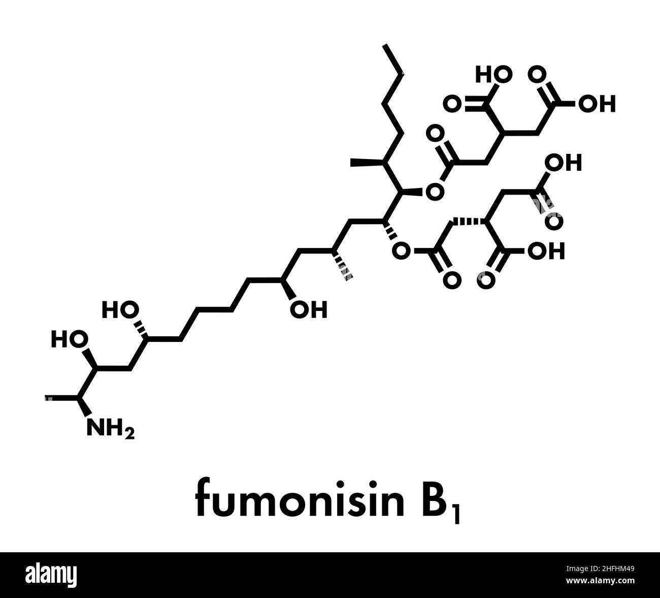Fumonisina B1 micotossina molecola. Tossina fungina prodotta da alcuni stampi Fusarium, spesso presente nel mais e altri cereali. Formula di scheletro. Illustrazione Vettoriale
