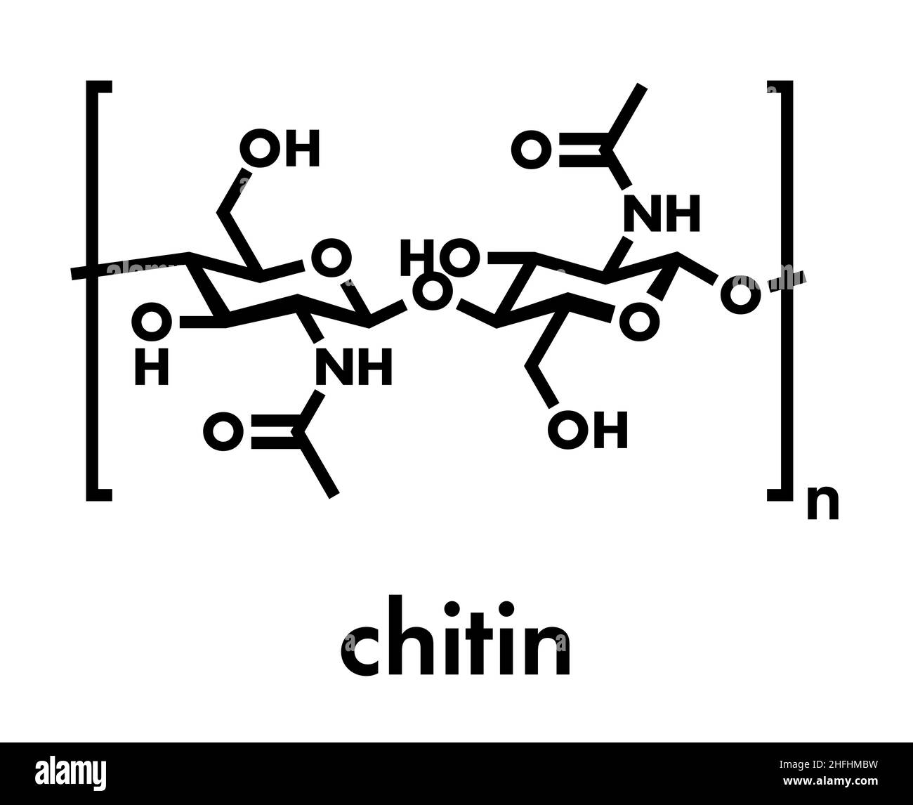 La chitina, struttura chimica. La chitina è un polimero di N-acetilglucosammina ed è presente in esoscheletri di insetti, crostacei etc. Formulazione scheletrico Illustrazione Vettoriale