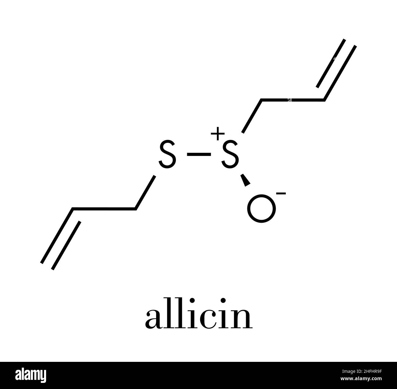 Molecola di aglio di allicina. Formato da allina dall'enzima allinasi. Si ritiene che abbia un certo numero di effetti positivi sulla salute. Formula scheletrica. Illustrazione Vettoriale