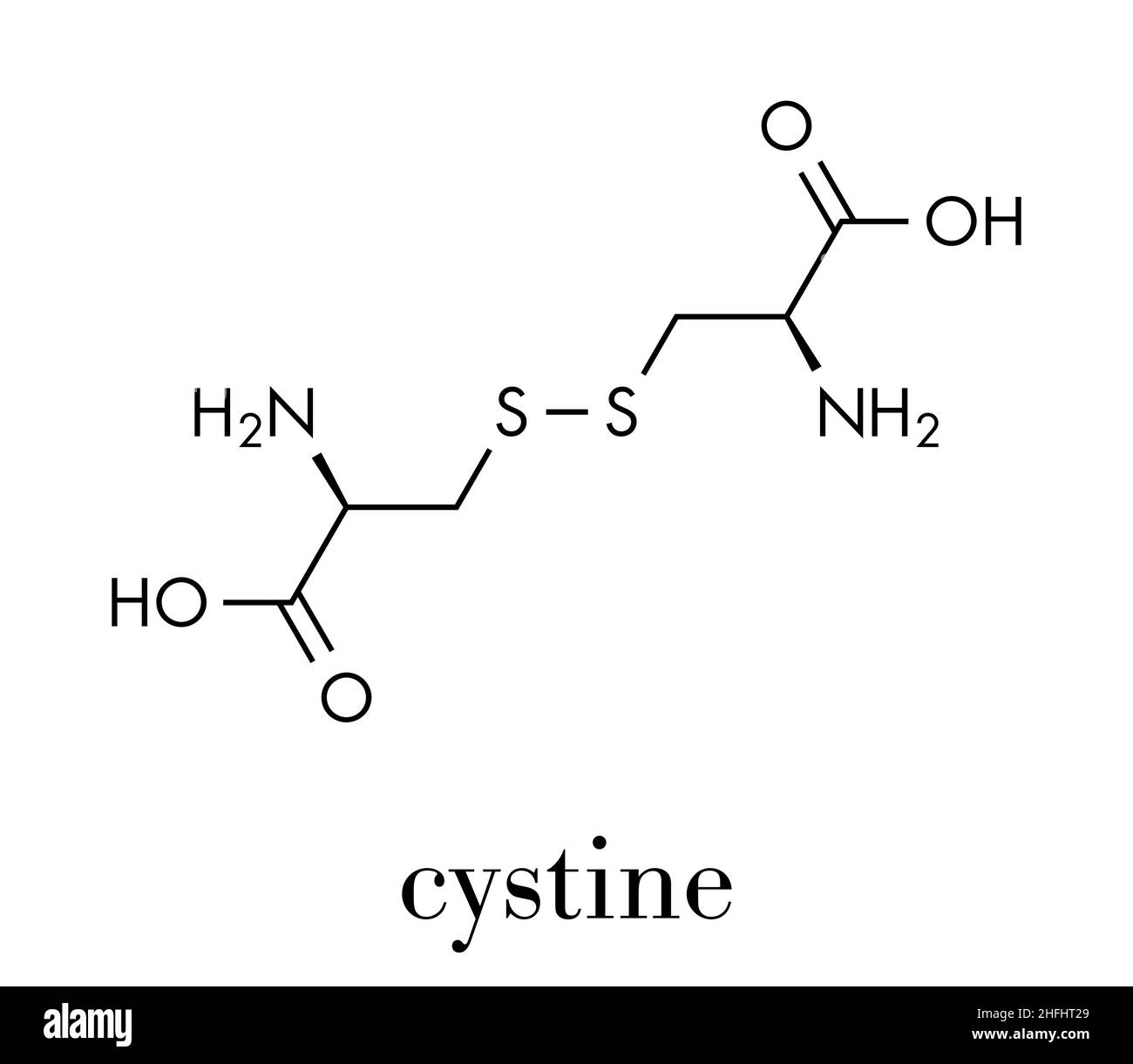 Molecola di cistina. Dimero ossidato dell'aminoacido cisteina. Formula scheletrica. Illustrazione Vettoriale