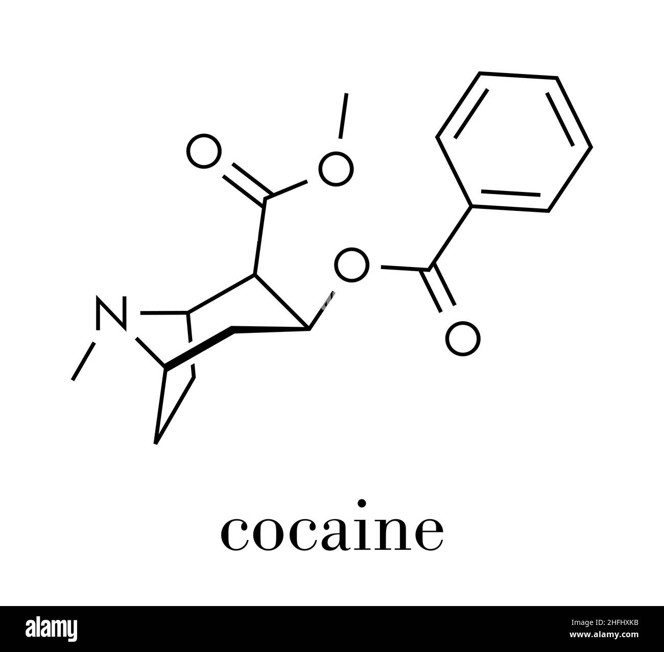 La cocaina droga stimolante molecola. Usato come sale o come base libera (crack, freebase). Formula di scheletro. Illustrazione Vettoriale