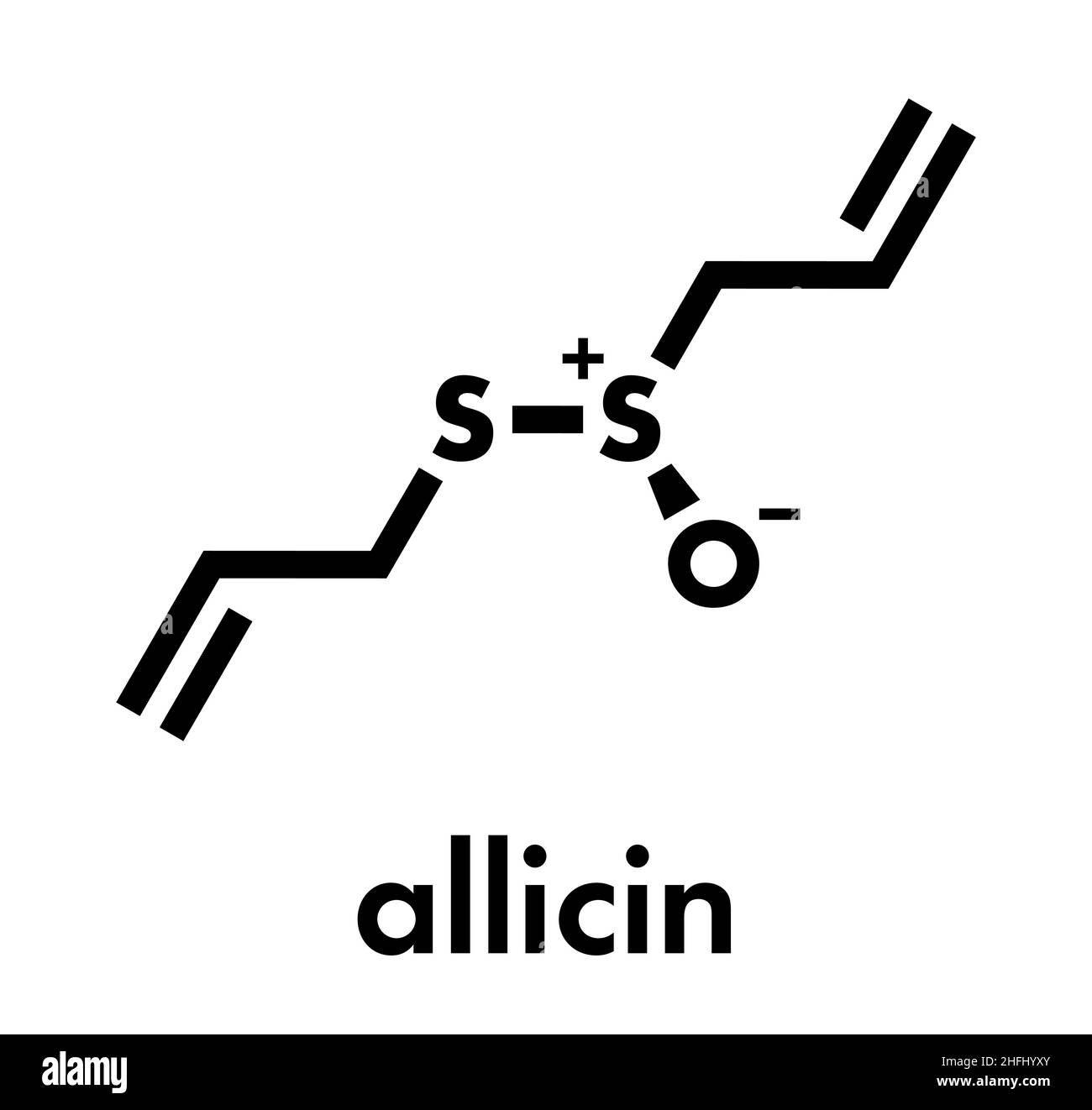 Molecola di aglio di allicina. Formato da allina dall'enzima allinasi. Si ritiene che abbia un certo numero di effetti positivi sulla salute. Formula scheletrica. Illustrazione Vettoriale