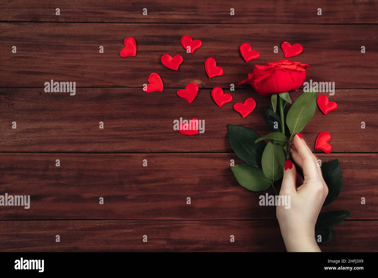 La mano femmina tiene rosa rossa su sfondo di legno. San Valentino, luogo per il testo. Foto Stock