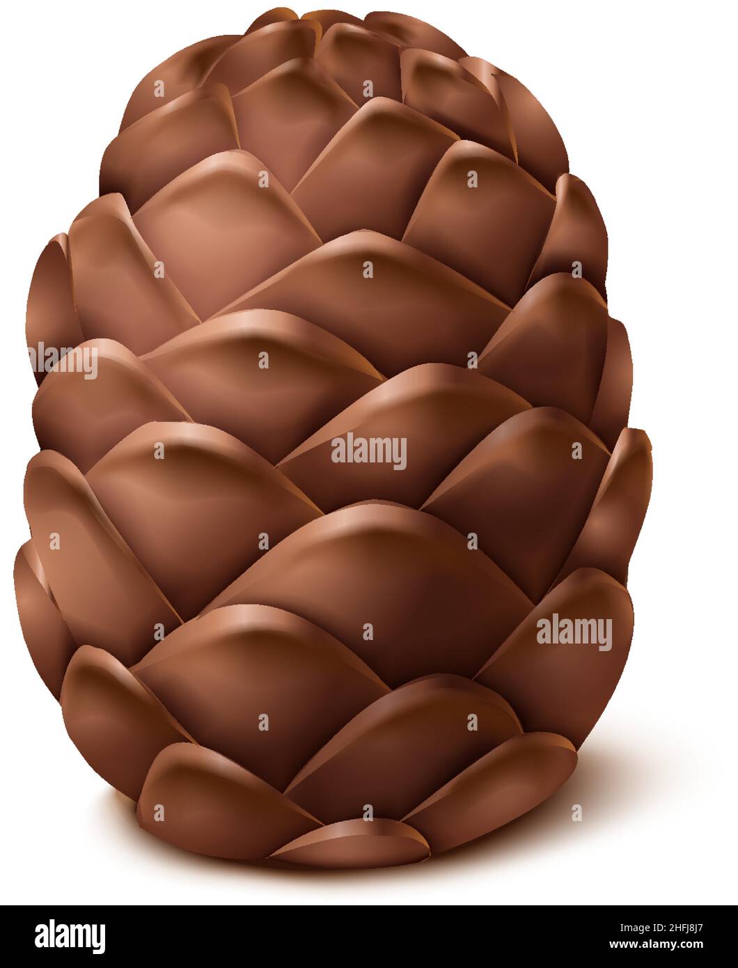 icona del vettore realistico. Cono di pino. Isolato su sfondo bianco. Illustrazione Vettoriale