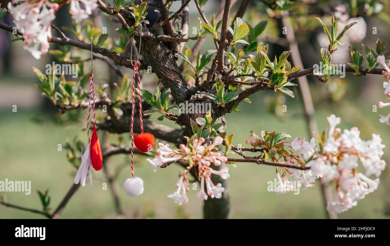 Rosso e bianco bellissimo martistore appeso sui rami dell'albero fiorente. Foto Stock
