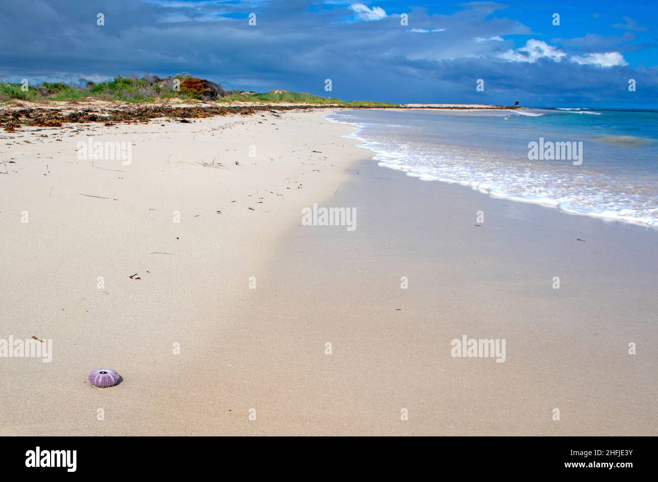 Spiaggia sulla costa turchese vicino a Jurien Bay Foto Stock