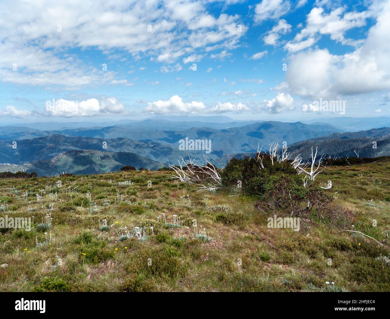 Vista dal sentiero tra Razorback e Mount Feathertop, Victoria, Australia Foto Stock