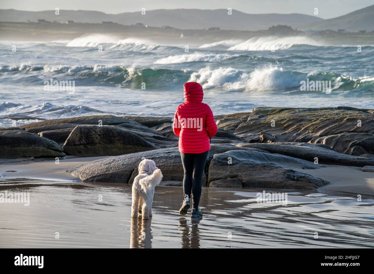 Una donna in giacca rossa e il suo cane bianco animale domestico che guarda verso un mare tempestoso in Irlanda Foto Stock