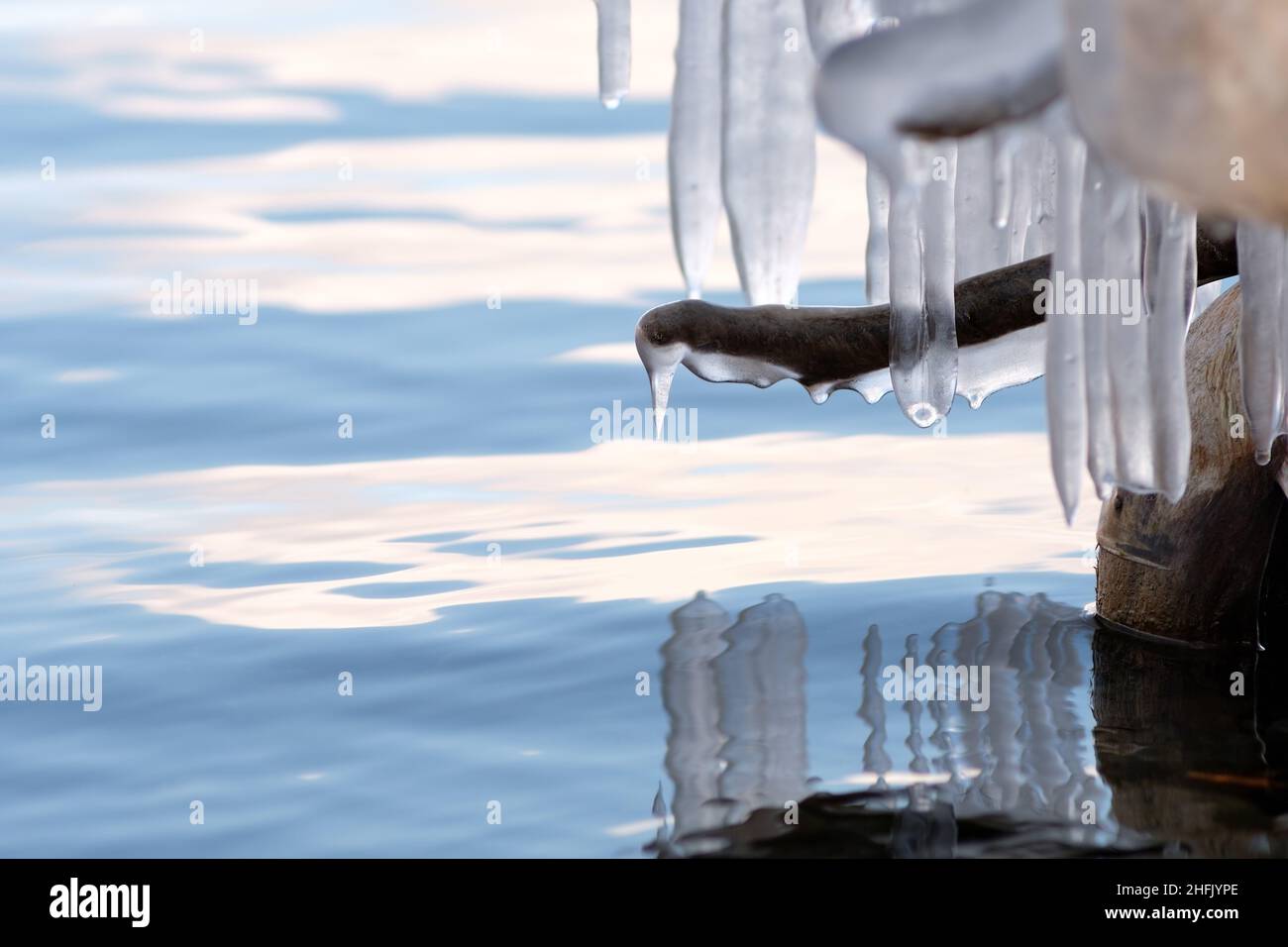 Ghiaccioli appesi sul lago. Soggetto radice esposta nel ghiaccio che assomiglia ad un'immersione dei pinguini dell'imperatore. Foto Stock