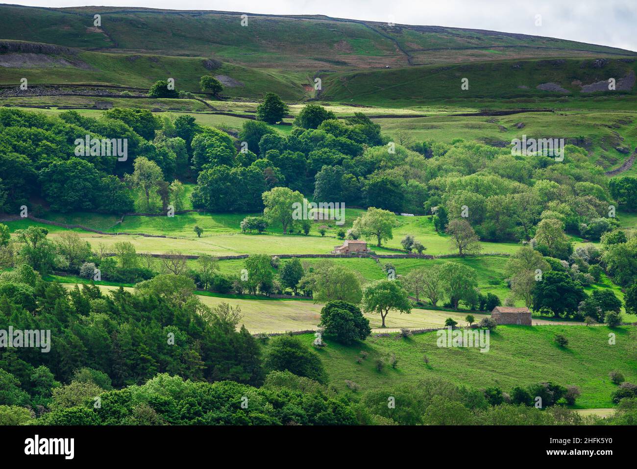 Yorkshire Regno Unito paesaggio, vista della tradizionale collina fattoria a Wensleydale, Yorkshire Dales National Park, Yorkshire, Inghilterra, Regno Unito Foto Stock