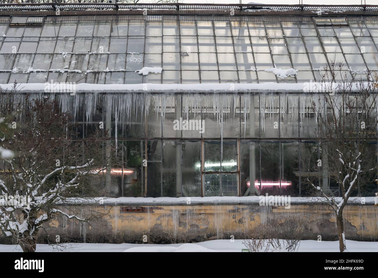 Glasshouse nel parco invernale o nel giardino botanico. Vista sulle pareti di vetro trasparente delle piante tropicali Foto Stock