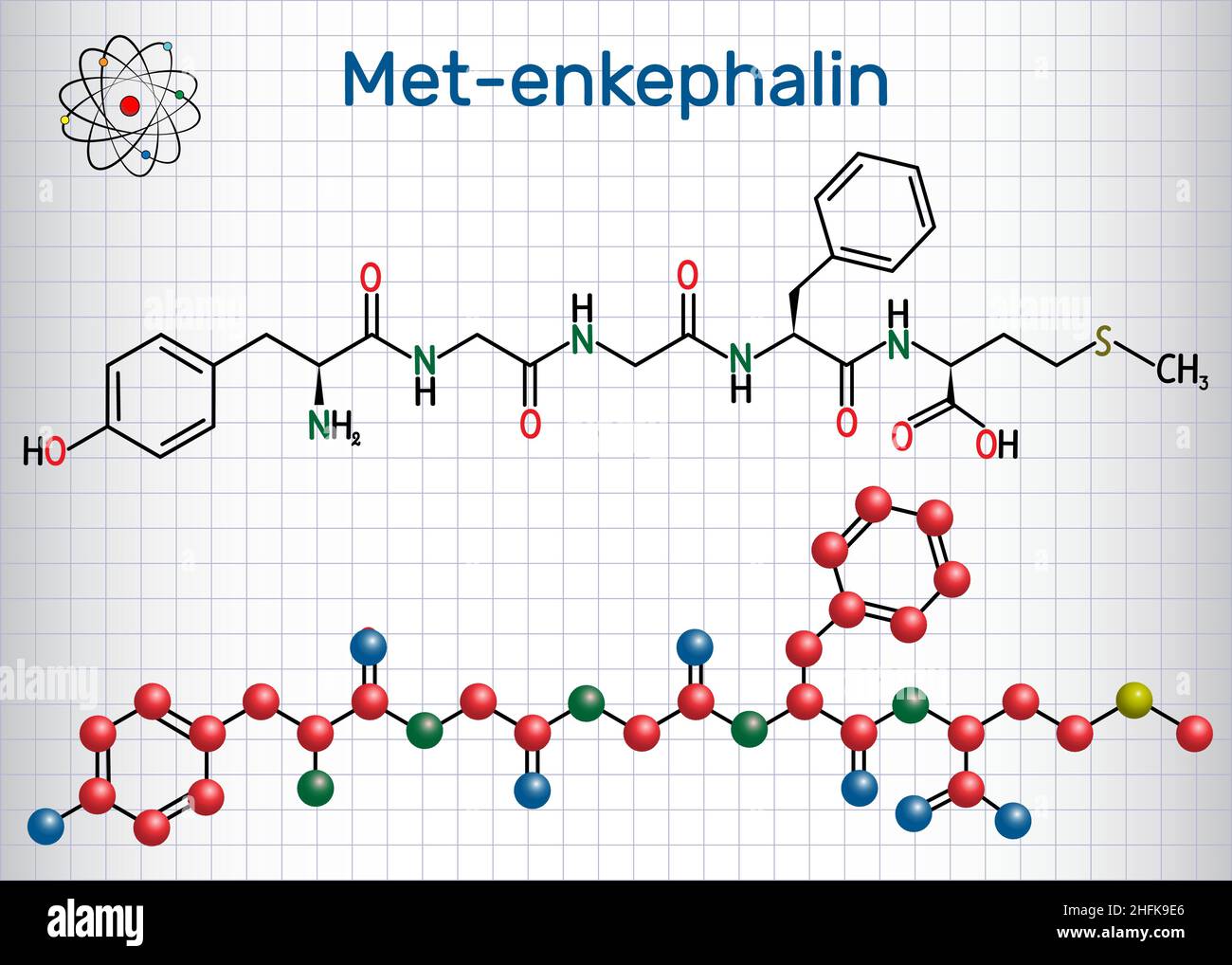 Molecola di met-enkefalina. È un peptide oppioide endogeno. Foglio di carta in gabbia. Formula chimica strutturale e modello molecolare Illustrazione Vettoriale