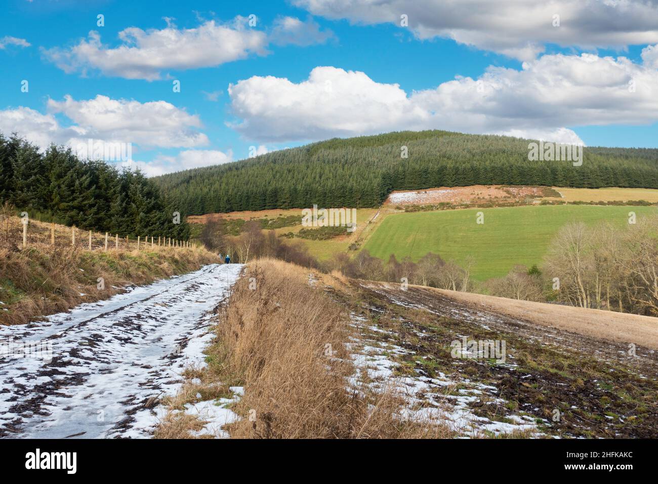 Drumbarton Hill nelle colline di Correen vicino ad Alford, Aberdeenshire, Scozia Foto Stock