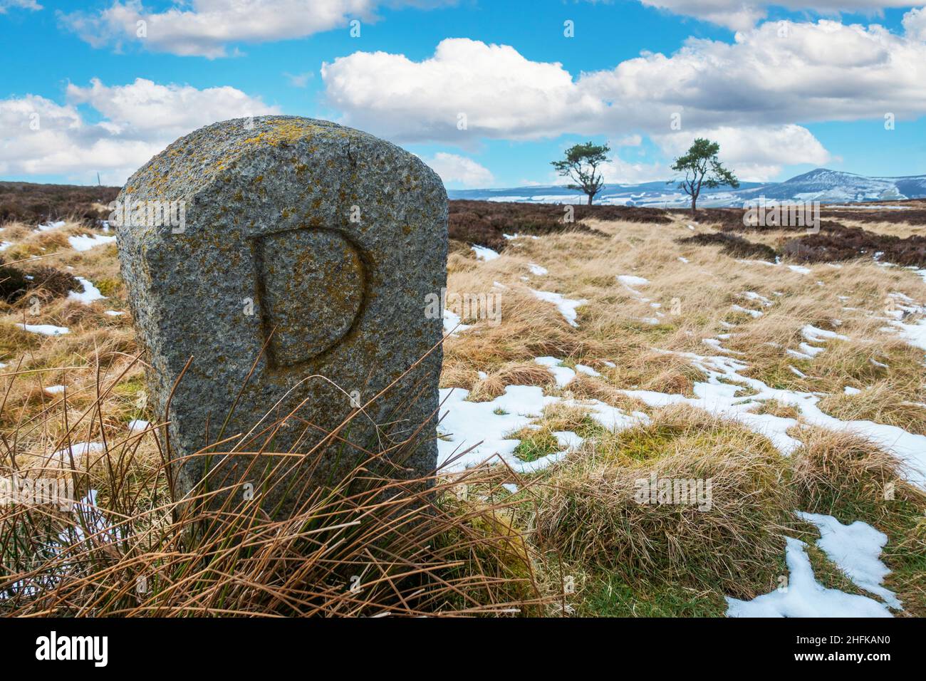 Una pietra limite contrassegnata con una lettera D nelle colline di Correen vicino ad Alford, Aberdeenshire, Scozia Foto Stock