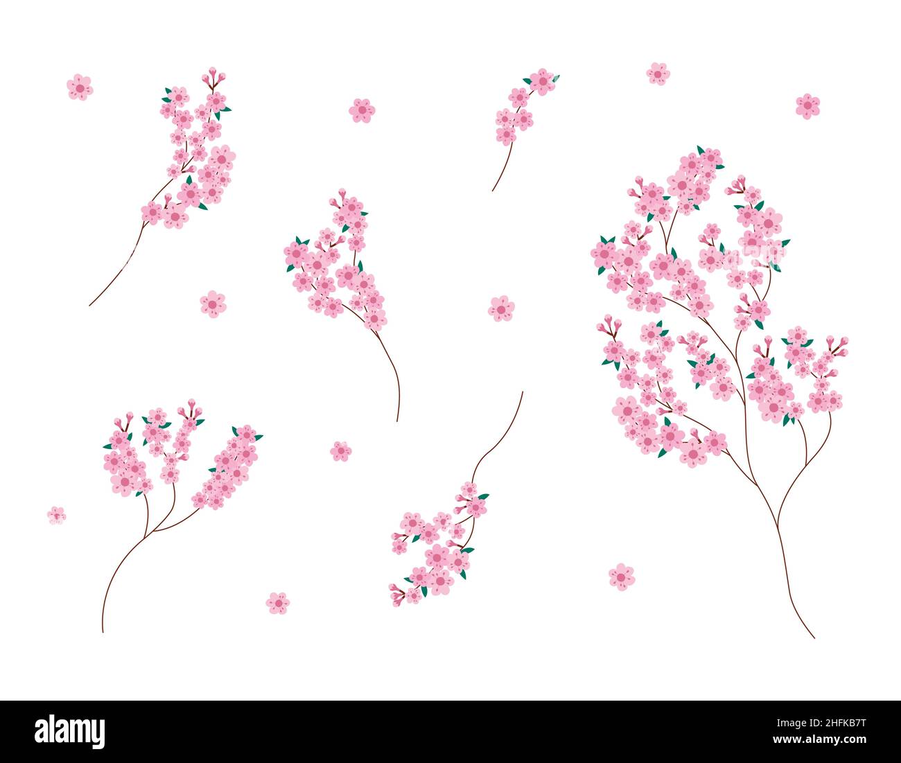 Sakura fiori rami isolato set. Collezione vettoriale di fiori Sakura in fiore. Design elementi floreali su sfondo bianco. Illustrazione Vettoriale