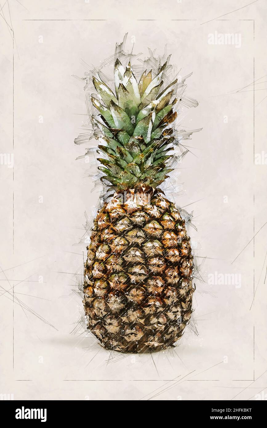 Illustrazione schizzo di ananas fresco. Composizione verticale Foto Stock