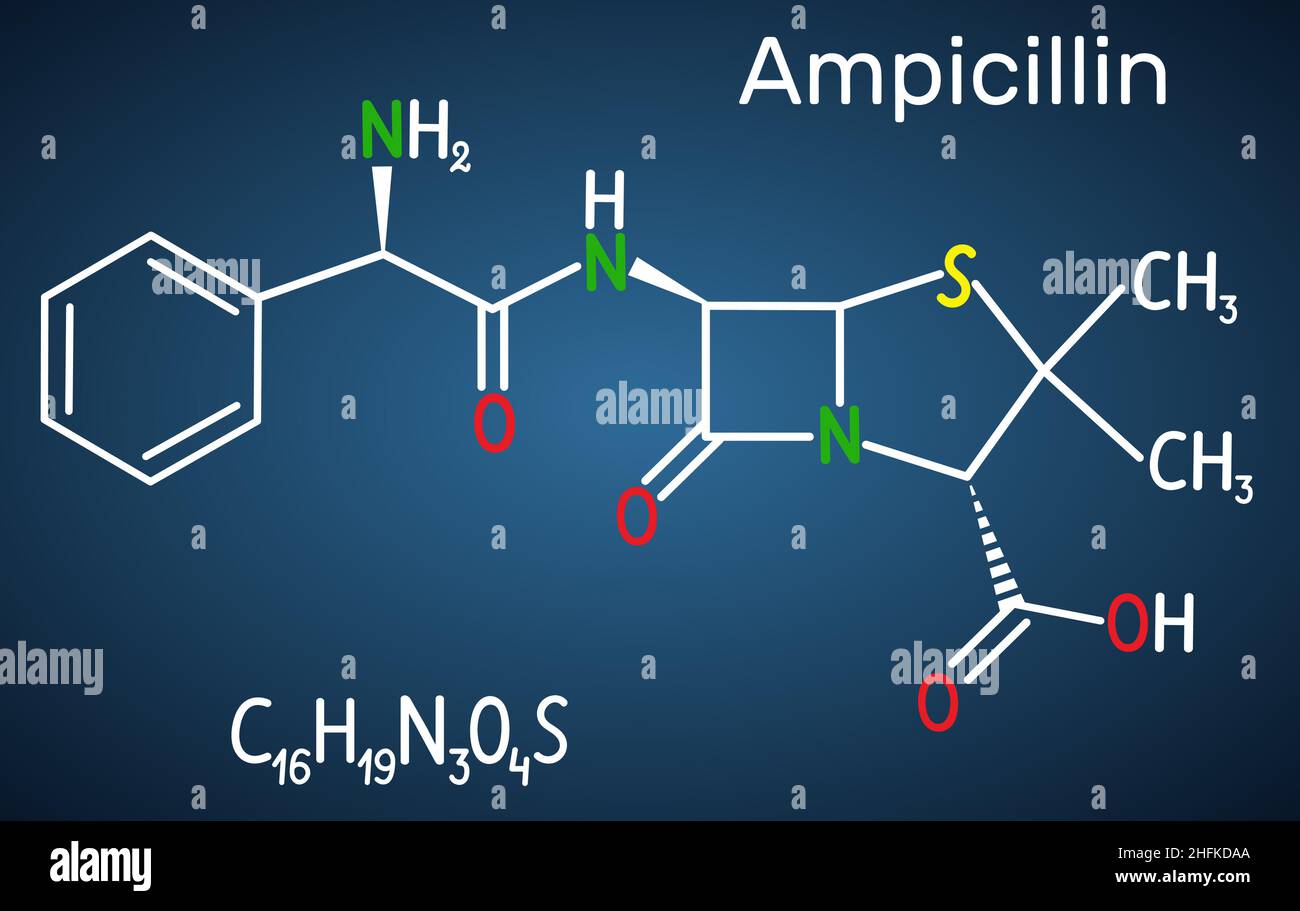 Molecola di farmaco di ampicillina. È antibiotico beta-lattamico. Formula chimica strutturale su sfondo blu scuro. Illustrazione vettoriale Illustrazione Vettoriale