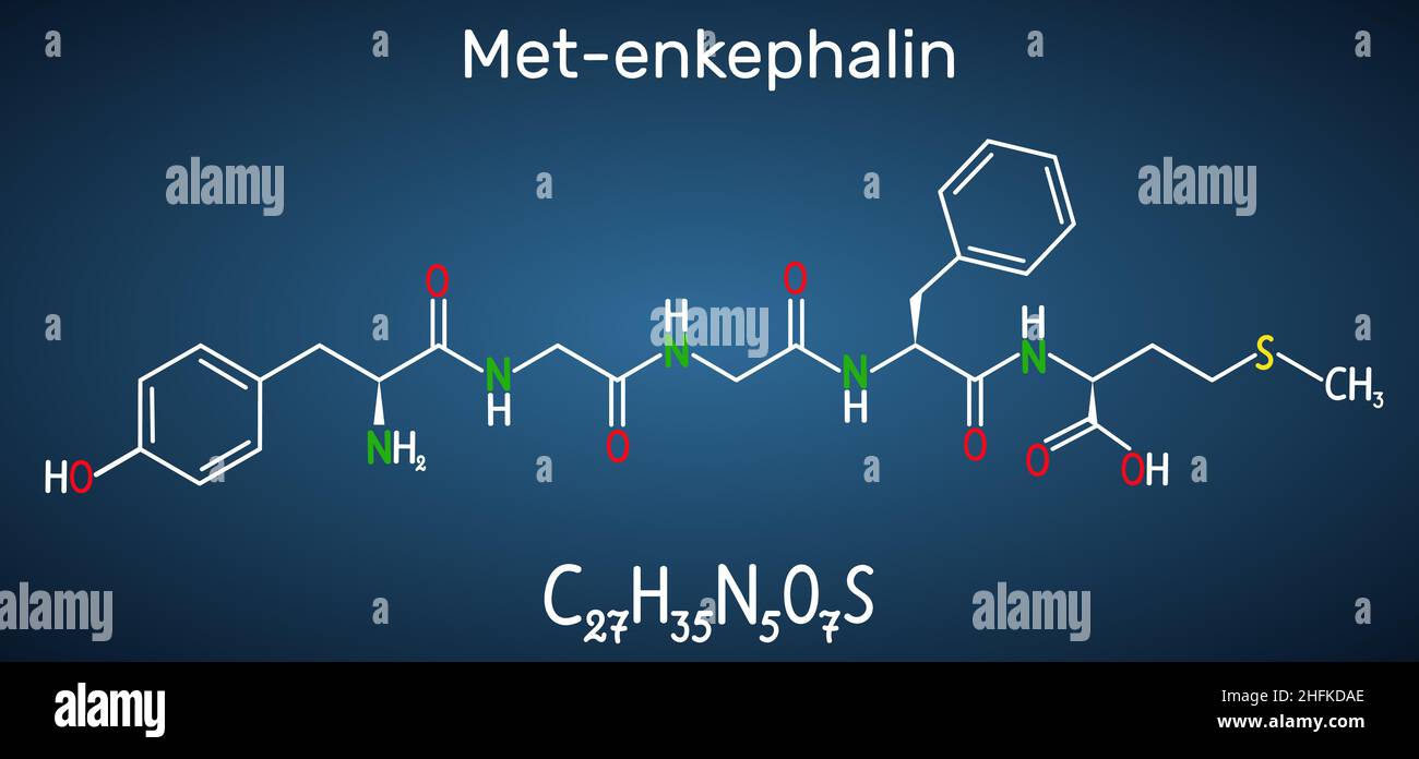 Molecola di met-enkefalina. È un peptide oppioide endogeno. Formula chimica strutturale su sfondo blu scuro. Illustrazione vettoriale Illustrazione Vettoriale