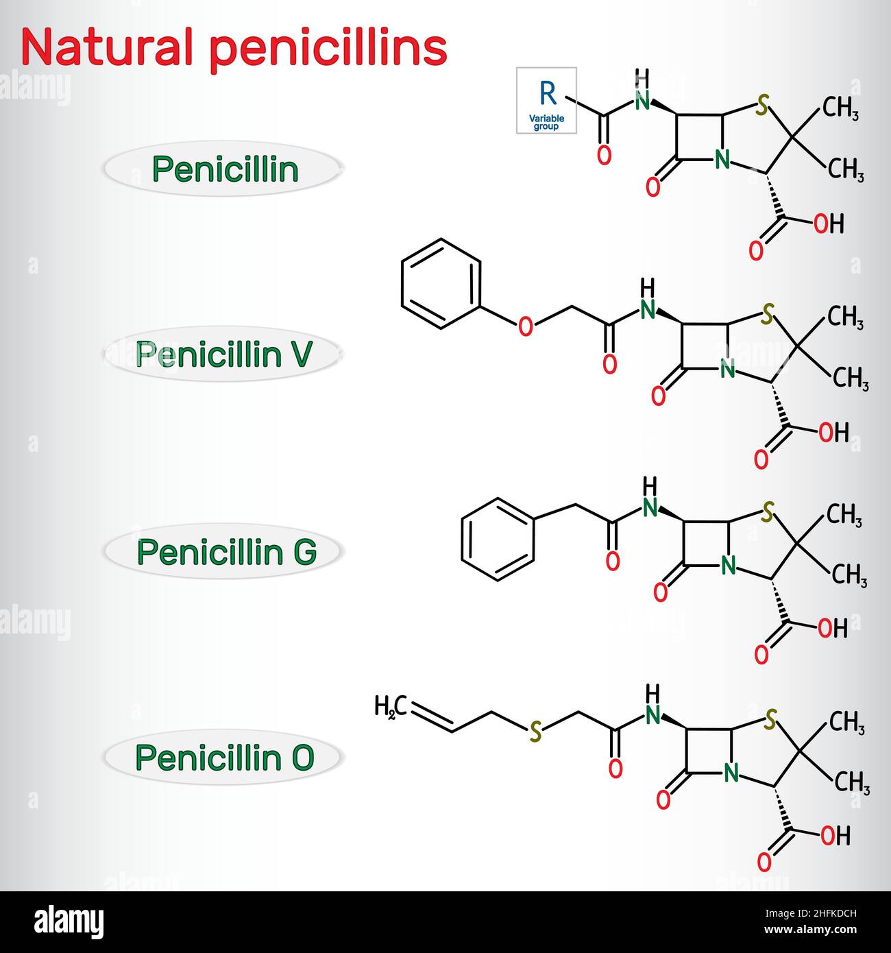 Molecola naturale di farmaco antibiotico penicilline. Benzilpenicillina , fenossimetilpenicillina, almecillina. Formula chimica strutturale. Illustrazione vettoriale Illustrazione Vettoriale