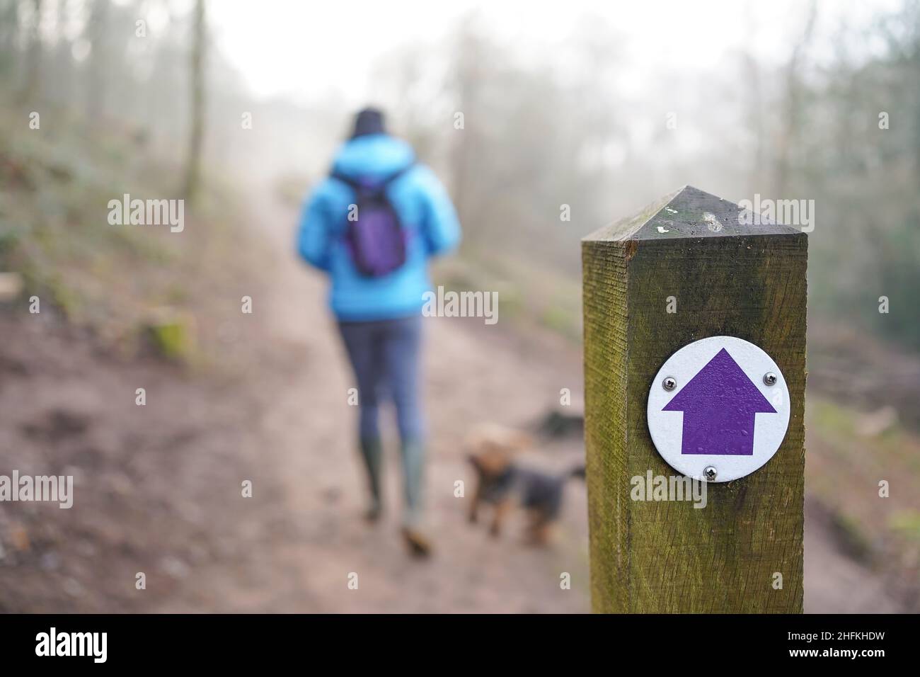 Una donna cammina con il suo cane seguendo un segno di sentiero nella mattina nebbiosa. Foto Stock