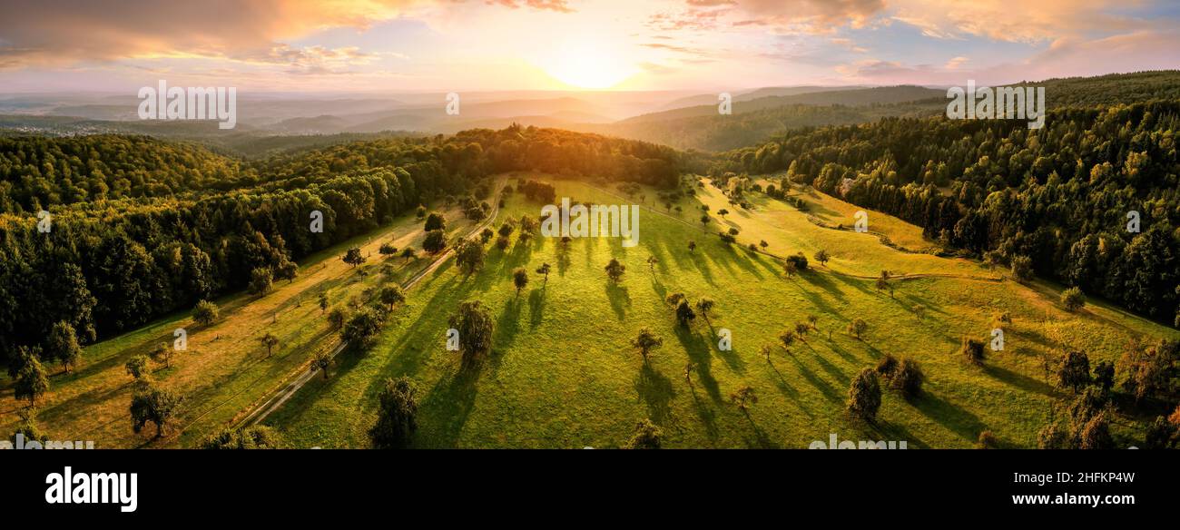 Panorama panoramico aereo dopo l'alba: Splendido paesaggio con il sole, alberi su prati in luce calda che gettano lunghe ombre, circondato da boschi Foto Stock