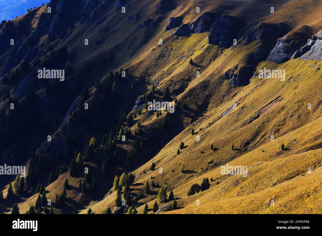 Langkofel, Berg, Fels, Dolomiten, Panorama mit Bergwald und Bäumen mit herbstlicher Lichtstimmung in Südtirol in den Dolomiten in Italien Foto Stock