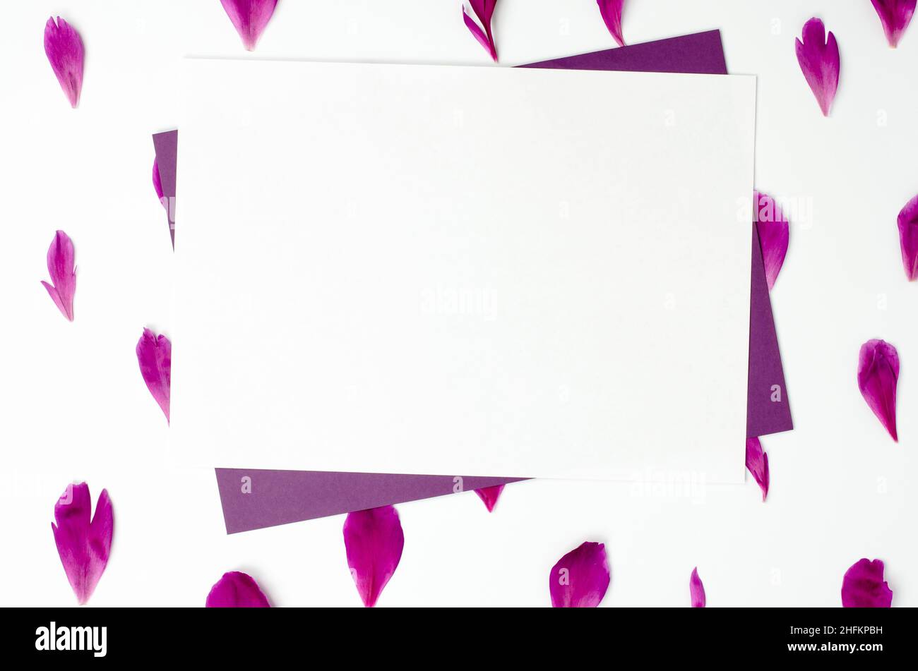 Un foglio bianco di carta su petali di peonia. Vuoto per un biglietto di auguri o un invito. Congratulazioni per le vacanze, spazio copia Foto Stock