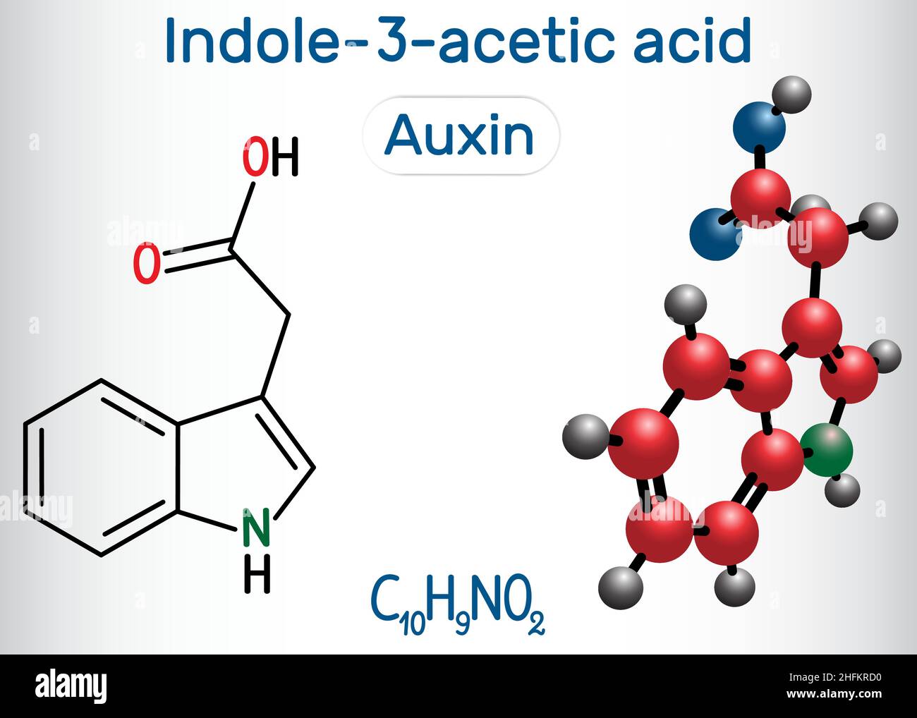 AUXIN, acido indolo-3-acetico (IAA). Formula chimica strutturale e modello molecolare. Illustrazione vettoriale Illustrazione Vettoriale
