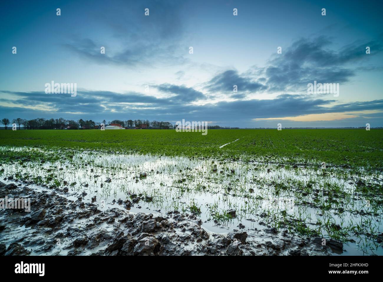 L'acqua piovana si infila nel terreno e non affonda ulteriormente, causando la saturazione della terra Foto Stock