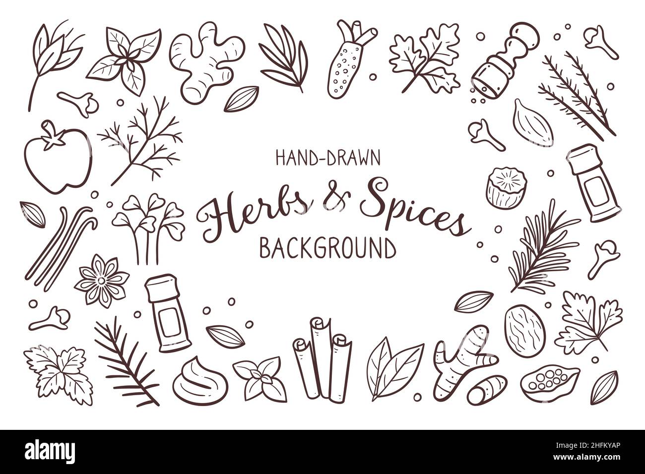 Fondo di erbe e spezie disegnate a mano. Ingredienti per cucinare illustrazione. Icone isolate del doodle su sfondo bianco. Illustrazione vettoriale. Illustrazione Vettoriale