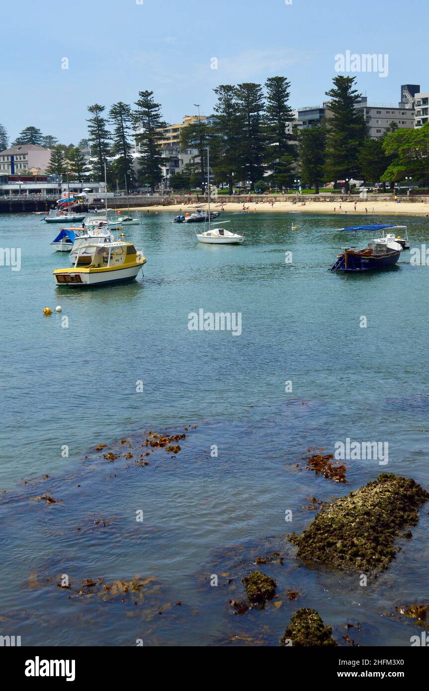 Una vista del Porto di Sydney vicino alla East Esplanade nel sobborgo di mare di Sydney di Manly, NSW Foto Stock