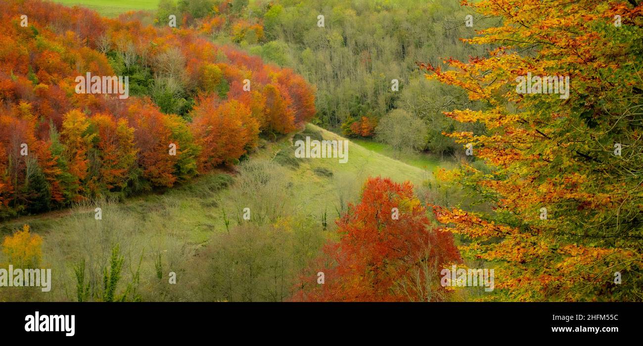 Vista elevata dei colori autunnali in Arundel Park, West Sussex Foto Stock