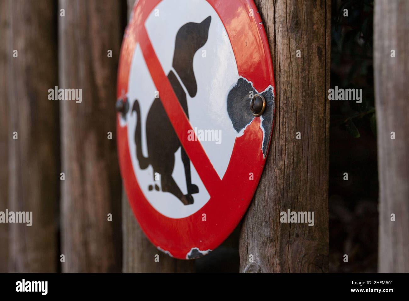 Hundeverbot Schild Foto Stock