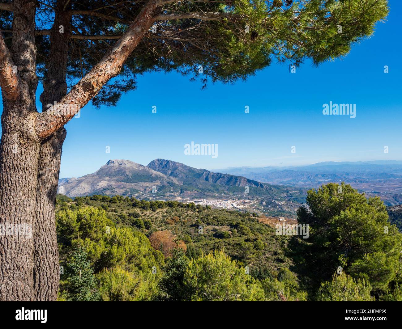 Il comune di Malaga di Yunquera visto dal Parco Nazionale della Sierra de las Nieves. Foto Stock