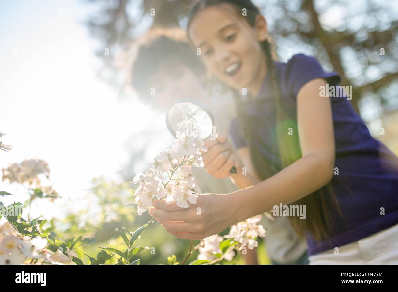 Bambini che indagano su un grappolo di fiori con una lente d'ingrandimento Foto Stock