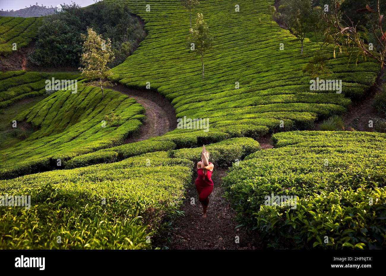 Yoga garudasana aquila posa da donna sana in costume rosso sulle piantagioni di tè in Munnar colline, Kerala, India Foto Stock