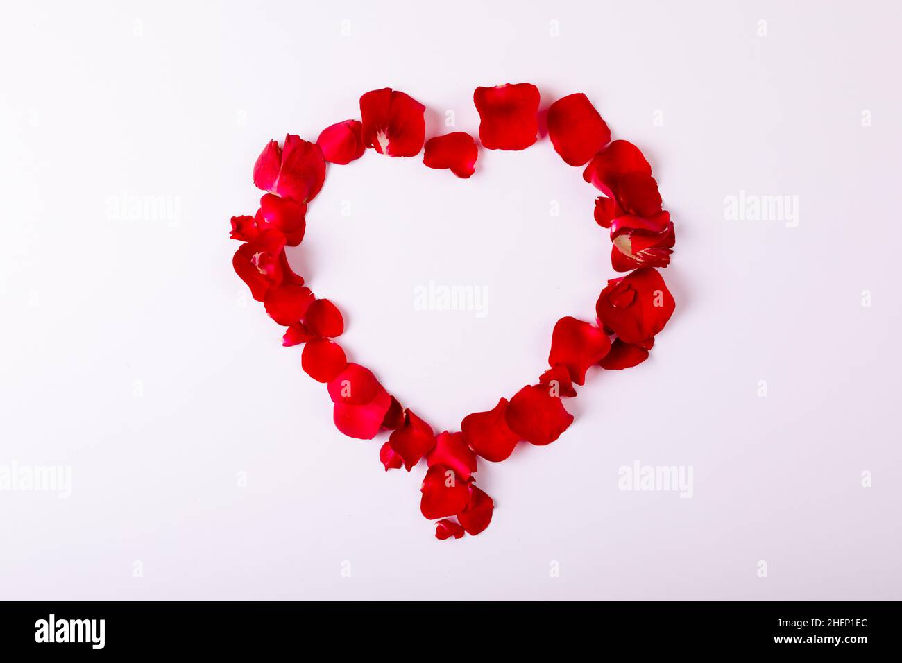 Vista dall'alto di petali rossi di rosa disposti a forma di cuore su sfondo  bianco con spazio per la copia Foto stock - Alamy