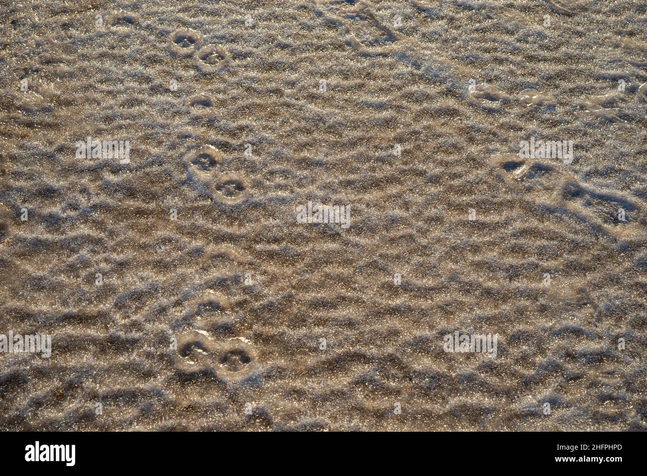 Vista dall'alto della sabbia ghiacciata di dune di mare in una giornata di sole Foto Stock