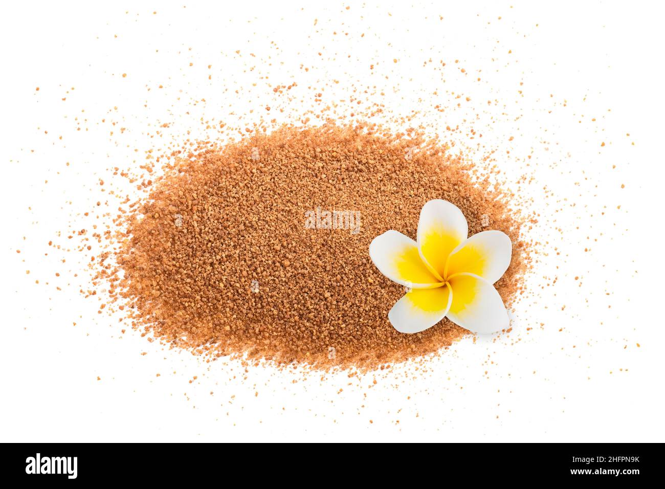 Zucchero di cocco con fiore di piumeria isolato su sfondo bianco Foto Stock