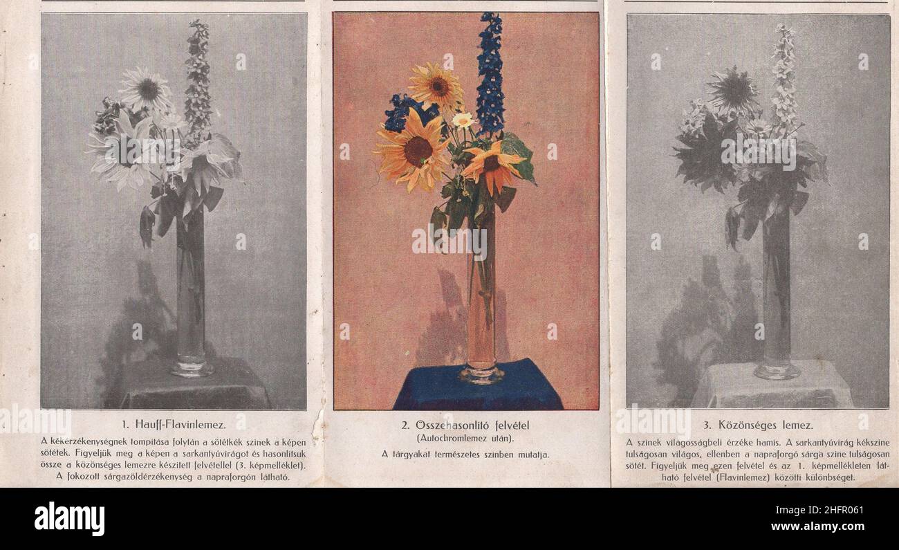 Libro di fotografia antica e rara in lingua ungherese ' Kézikönyv J. Hauff & Co, GmbH Felierbach Württemberg. Fotócikkeinek használatához. Második kiadás.' Questo marchio e catalogo è dal 1910s come Austro-Ungarico korona la valuta. Tutti i prodotti sono realizzati dalla Hauff e che è promosso qui in questo libro con descrizione e ricetta!. Alcuni di loro riccamente illustrato.1. Hauff Flavinlemez 2. )sszehasonlító felvétel. 3. Közönséges lemez. / 1. Piastra Hauff Flavin 2.) Registrazione comparativa. 3. Piastra ordinaria. Autorizzazioni-diritti-aggiuntivi-non disponibili. Foto Stock