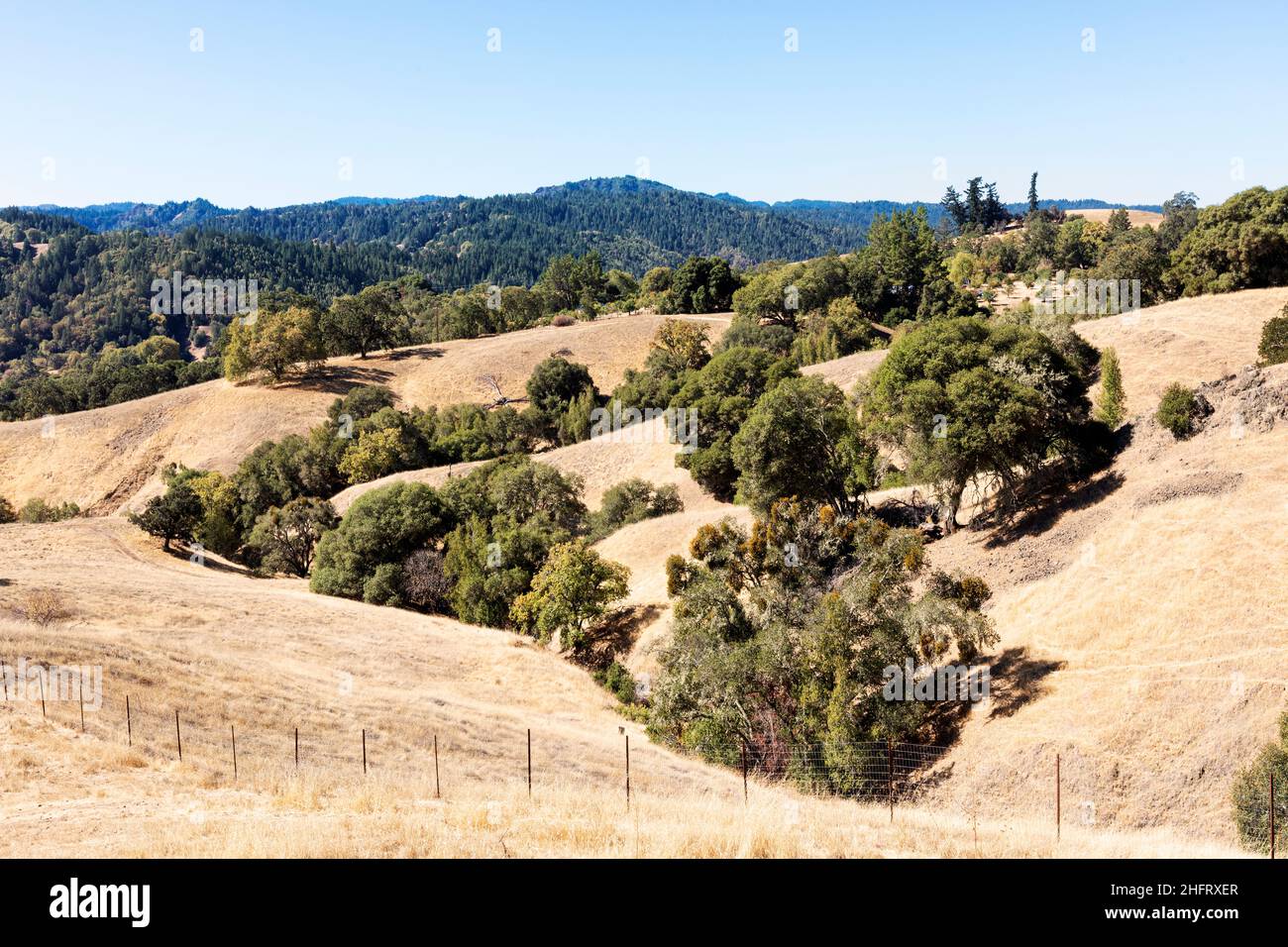 Mendocino County Coutryside, California, USA Foto Stock