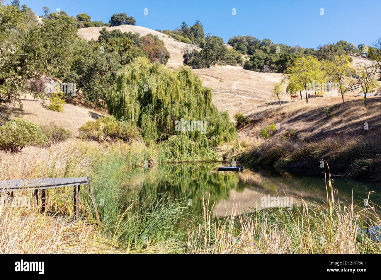 Mendocino County Coutryside, California, USA Foto Stock