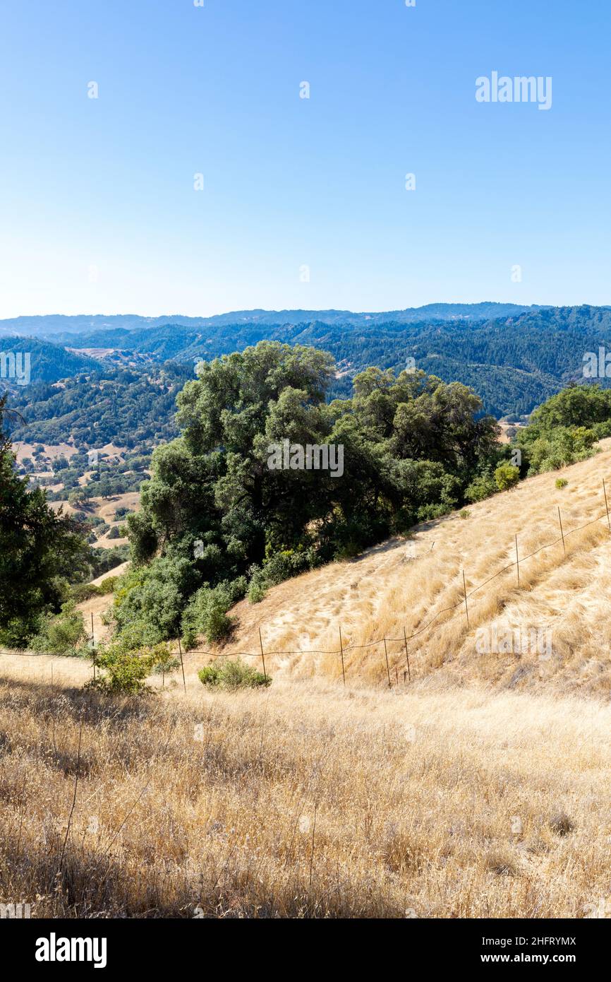 Mendocino County Coutryside, California, USA Foto Stock