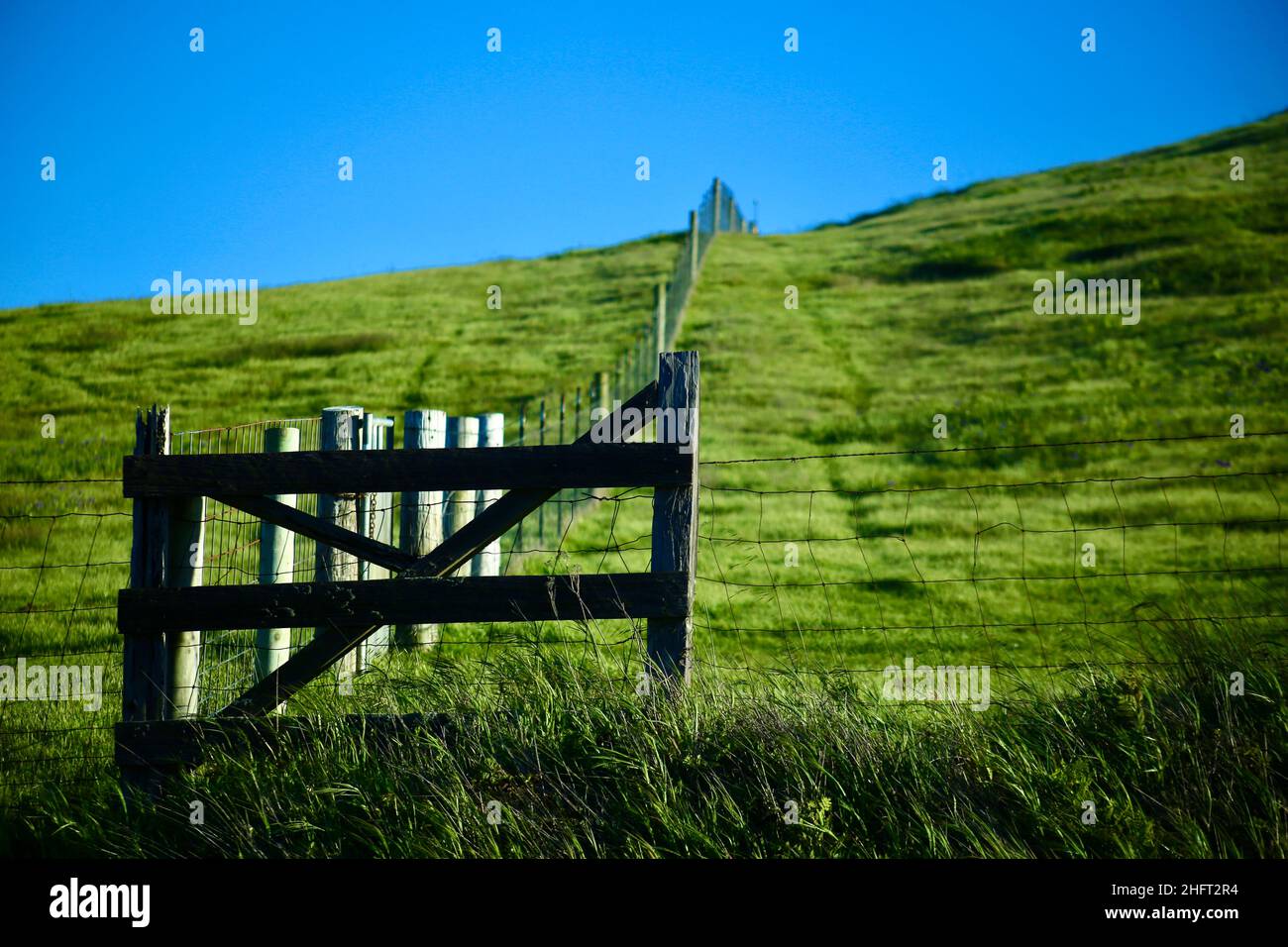 il giorno che la vita si è fermata per me Foto Stock