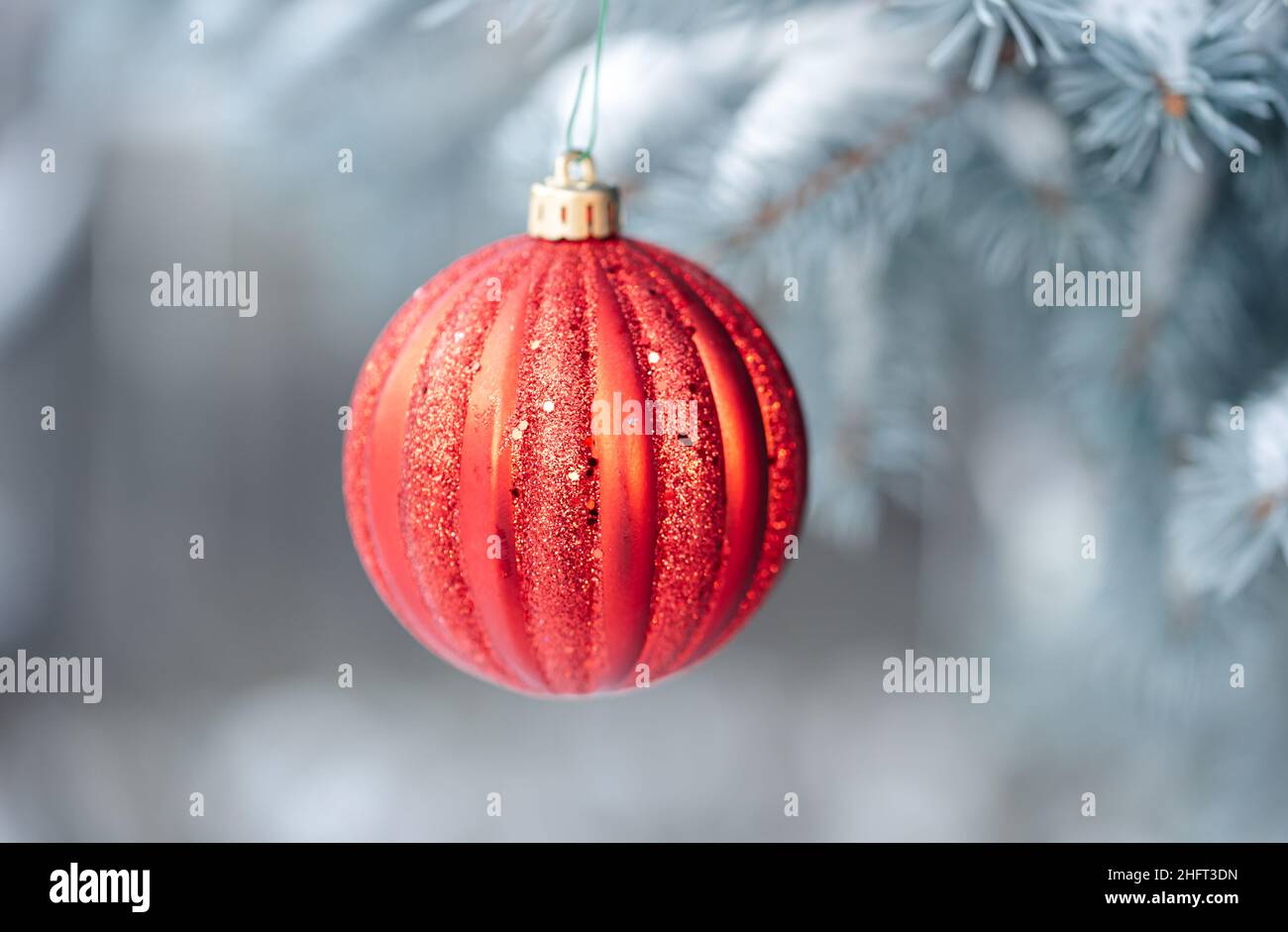 Ornamento rosso natalizio appeso al ramo dell'albero sempreverde innevato. Foto Stock